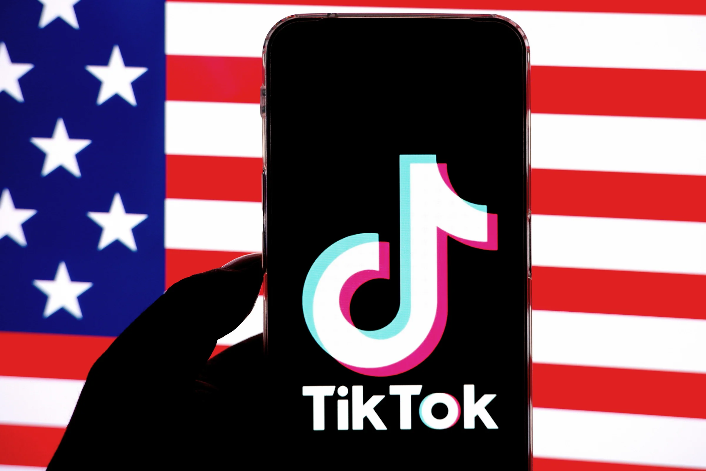 Elon Musk Wants to Buy TikTok